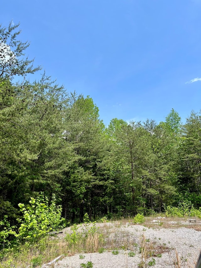 112B Dale Ln, Hilham, TN 38568