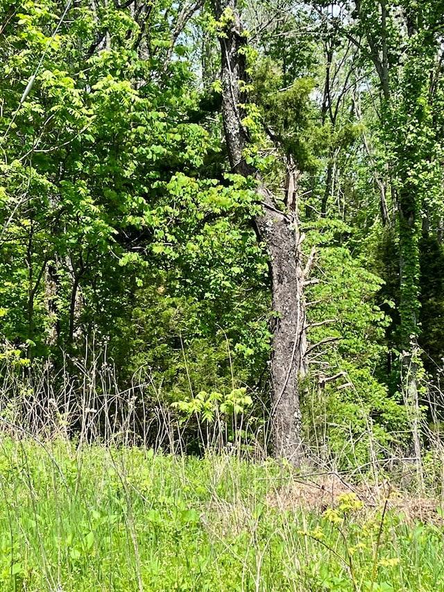 112B Dale Ln, Hilham, TN 38568