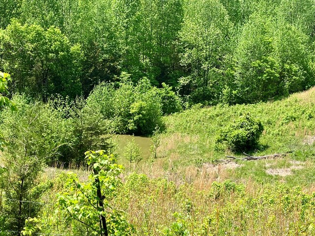112B Dale Ln, Hilham, TN 38568