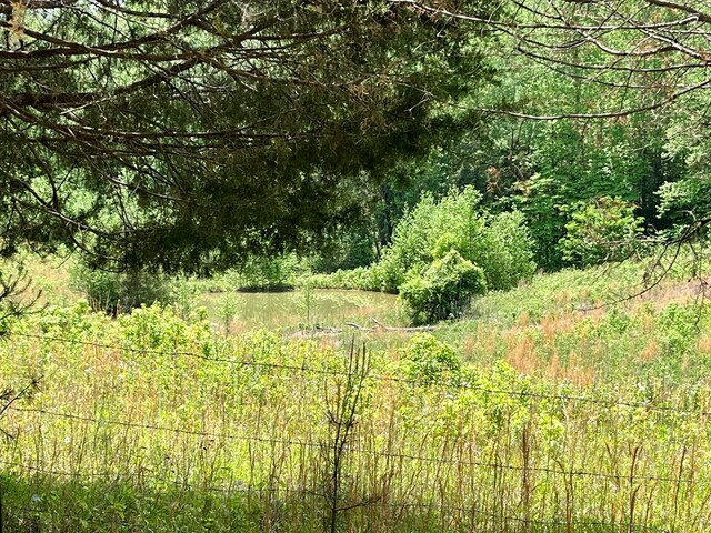 112B Dale Ln, Hilham, TN 38568