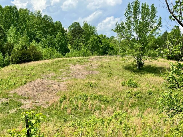 112B Dale Ln, Hilham, TN 38568