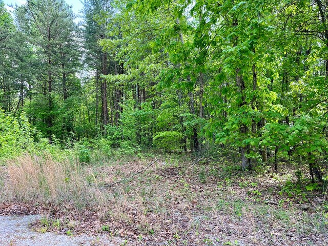 112B Dale Ln, Hilham, TN 38568