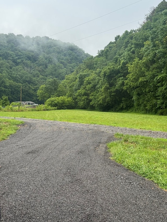 150 Pine Lick Rd, Whitleyville, TN 38588