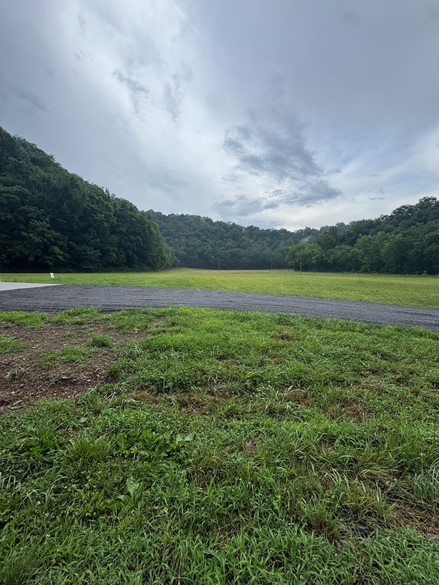 150 Pine Lick Rd, Whitleyville, TN 38588