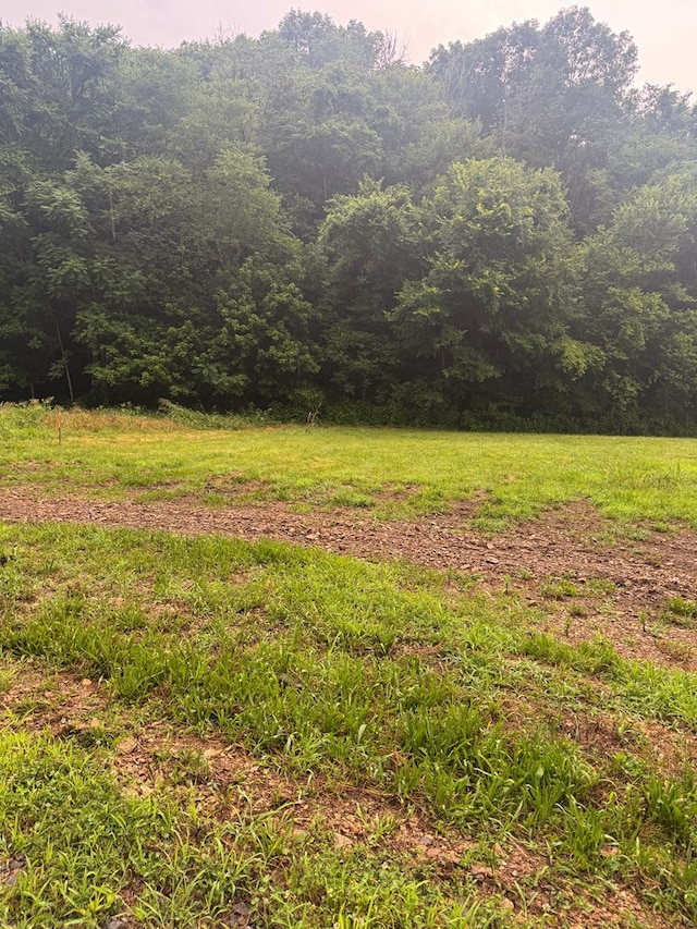 150 Pine Lick Rd, Whitleyville, TN 38588
