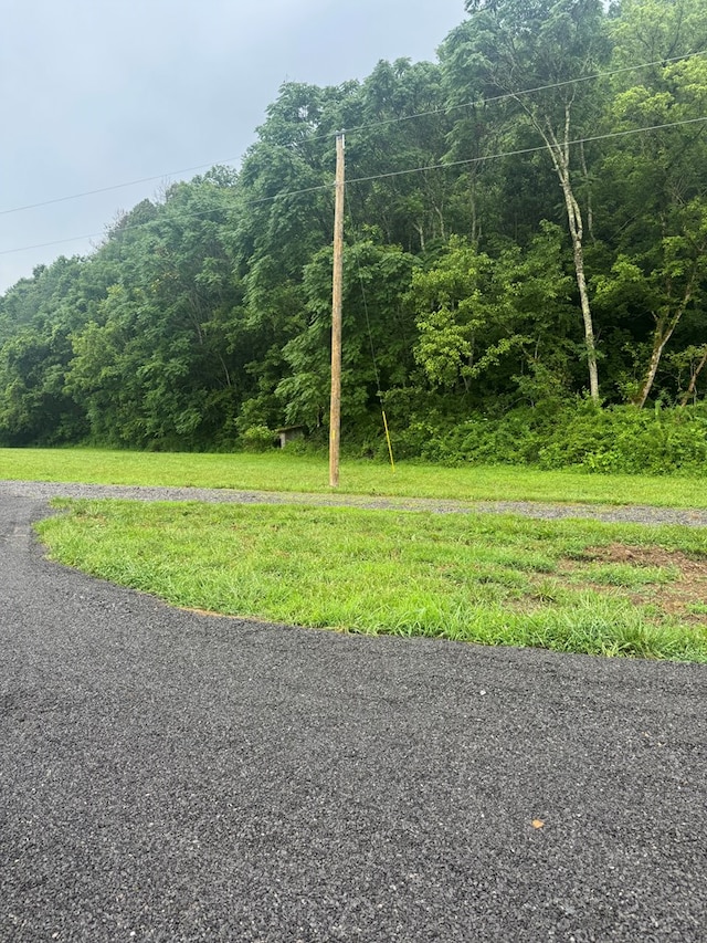 150 Pine Lick Rd, Whitleyville, TN 38588