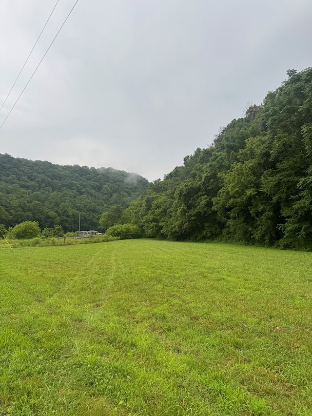 150 Pine Lick Rd, Whitleyville, TN 38588