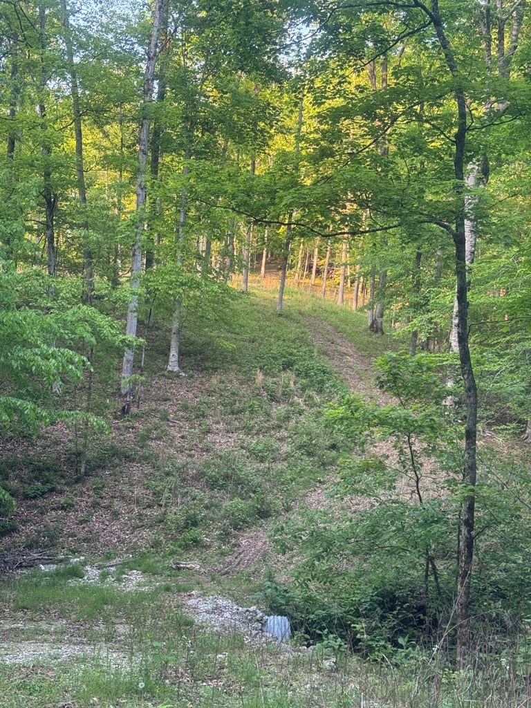 6.96 Star Point Rd, Byrdstown, TN 38549