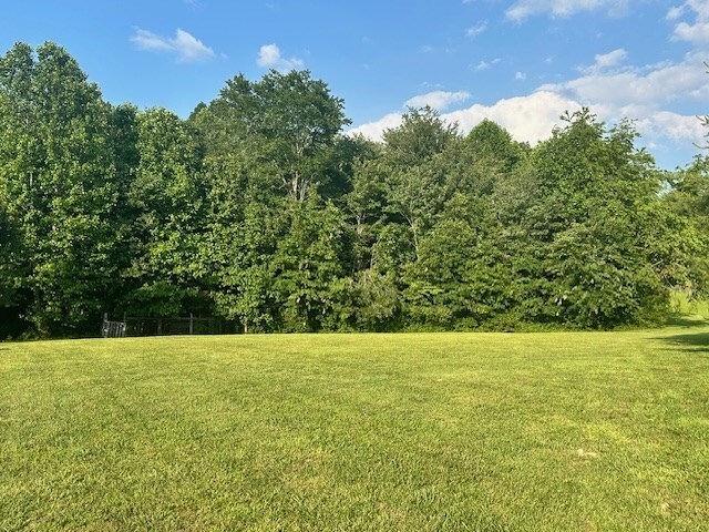 832 SE Fritzsche Loop, Jamestown, TN 38556 - photo 11