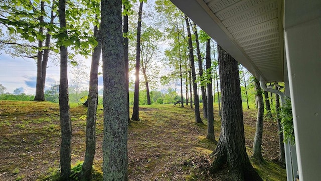 5310 Eagles Cove Rd, Byrdstown, TN 38549 - photo 37