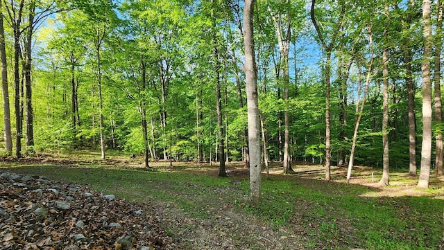 5310 Eagles Cove Rd, Byrdstown, TN 38549 - photo 11