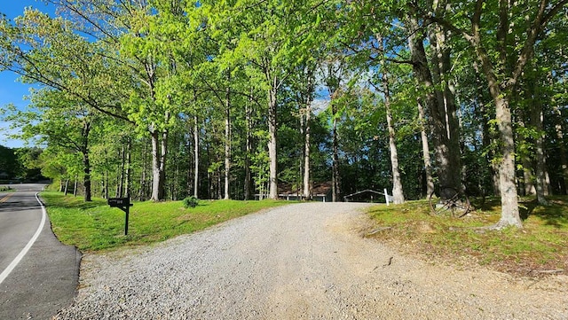 5310 Eagles Cove Rd, Byrdstown, TN 38549 - photo 33