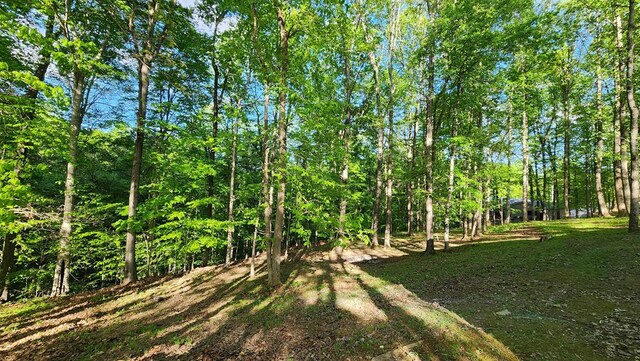 5310 Eagles Cove Rd, Byrdstown, TN 38549 - photo 10