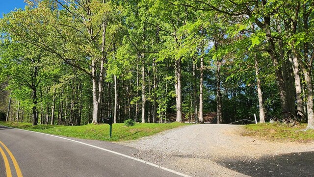 5310 Eagles Cove Rd, Byrdstown, TN 38549 - photo 34