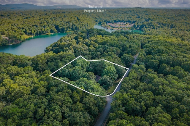 158 Brambleton Dr, Crossville, TN 38558 - photo 49