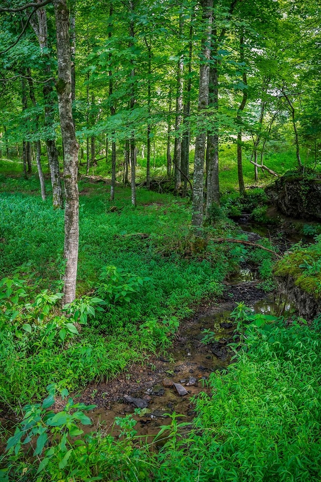 LOT4 Medlen Ln, Smithville, TN 37166 - photo 3