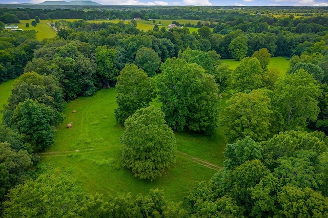 LOT4 Medlen Ln, Smithville, TN 37166 - photo 22