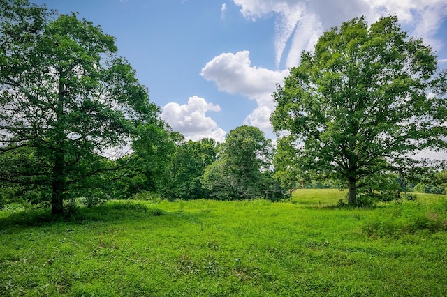 LOT4 Medlen Ln, Smithville, TN 37166 - photo 14
