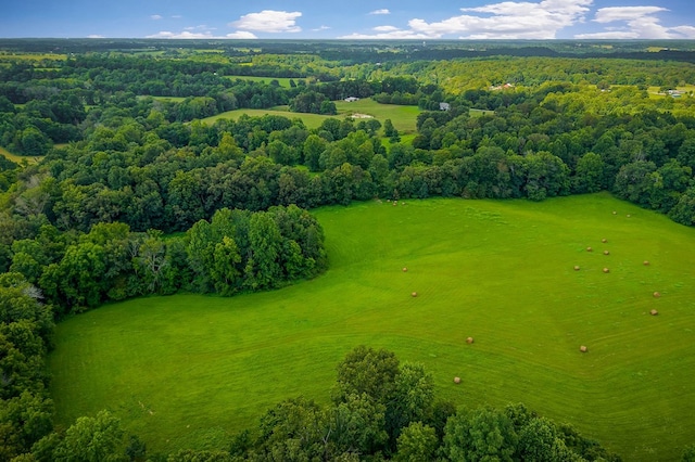 LOT4 Medlen Ln, Smithville, TN 37166 - photo 25