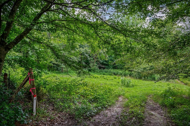 LOT4 Medlen Ln, Smithville, TN 37166 - photo 13