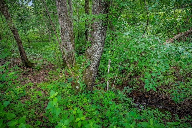 LOT4 Medlen Ln, Smithville, TN 37166 - photo 5