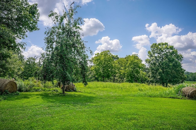 LOT4 Medlen Ln, Smithville, TN 37166 - photo 18