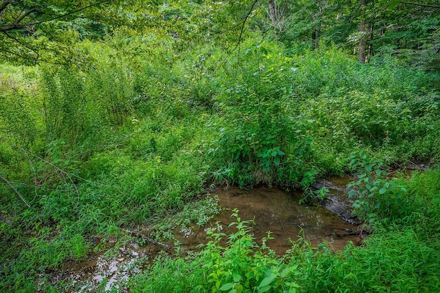 LOT4 Medlen Ln, Smithville, TN 37166 - photo 4
