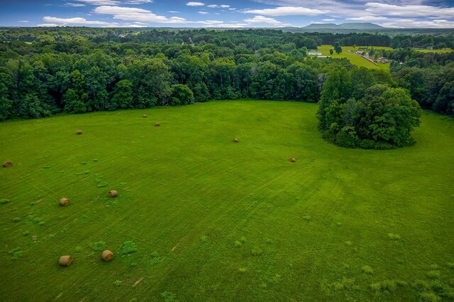 LOT4 Medlen Ln, Smithville, TN 37166 - photo 23
