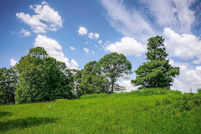 LOT4 Medlen Ln, Smithville, TN 37166 - photo 11