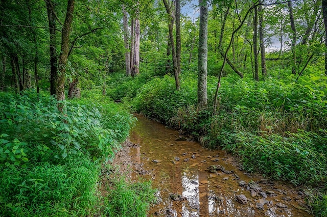 LOT4 Medlen Ln, Smithville, TN 37166 - photo 7