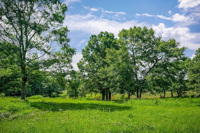 LOT4 Medlen Ln, Smithville, TN 37166 - photo 15