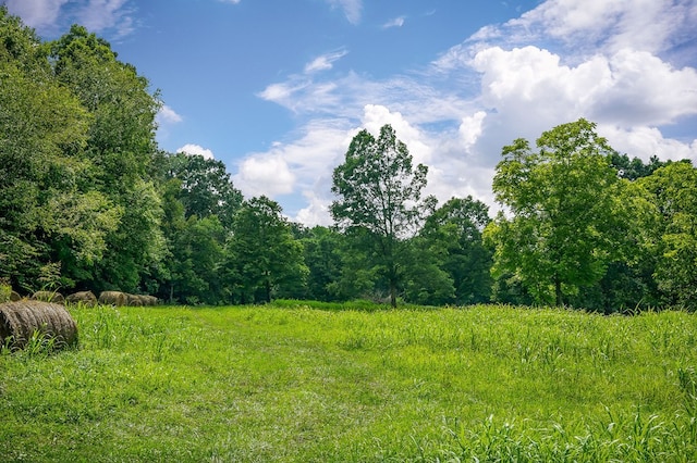 LOT4 Medlen Ln, Smithville, TN 37166 - photo 16