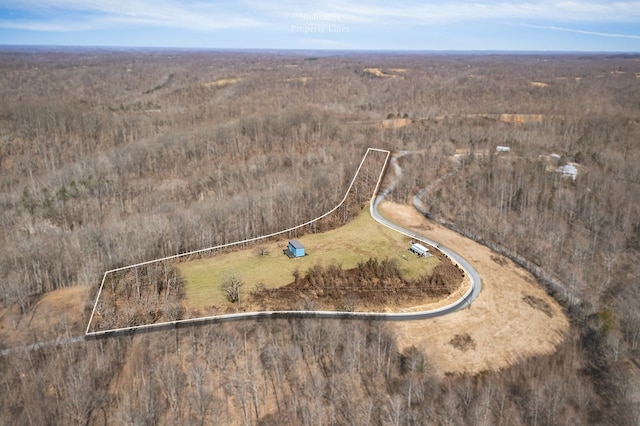 aerial view featuring a rural view