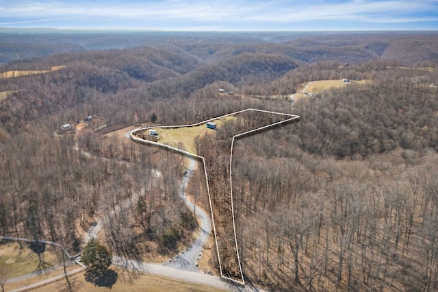 bird's eye view featuring a view of trees