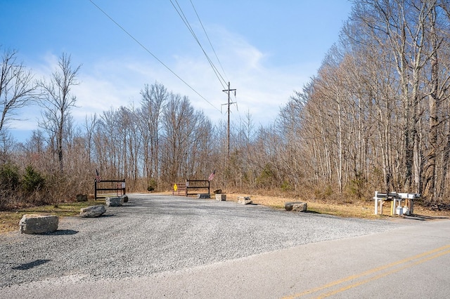 view of street with a forest view