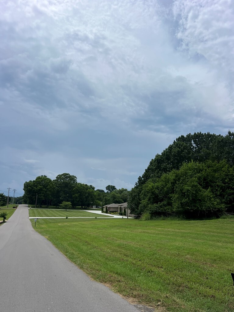 14 Lake Forest Dr, Mount Juliet, TN 37122 - photo 2