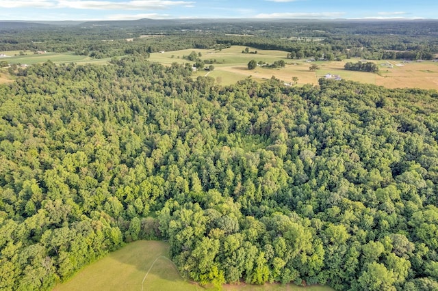 19.267AC Wildcat Rd, Sparta, TN 38583 - photo 4