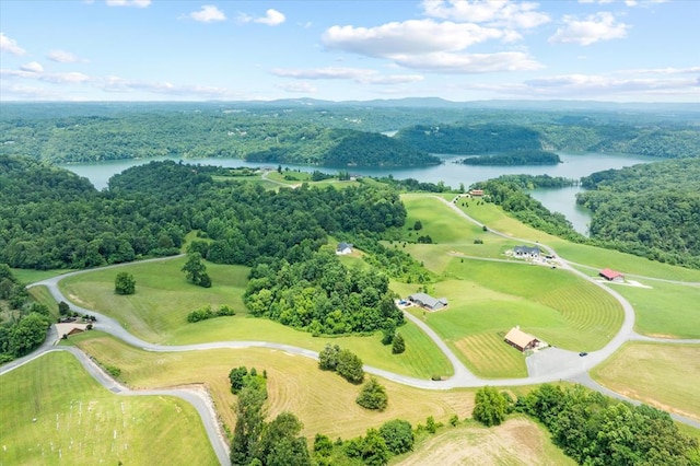 LOT65 Holly Bend Dr, Byrdstown, TN 38549 - photo 13