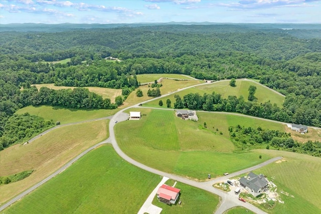LOT65 Holly Bend Dr, Byrdstown, TN 38549 - photo 19