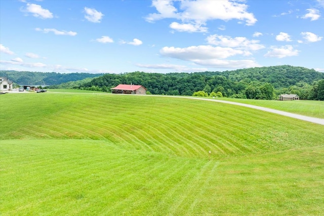 LOT65 Holly Bend Dr, Byrdstown, TN 38549 - photo 5