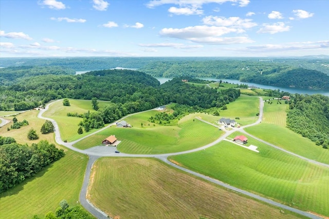 LOT65 Holly Bend Dr, Byrdstown, TN 38549 - photo 16
