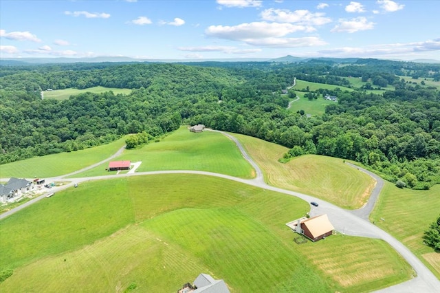 LOT65 Holly Bend Dr, Byrdstown, TN 38549 - photo 15