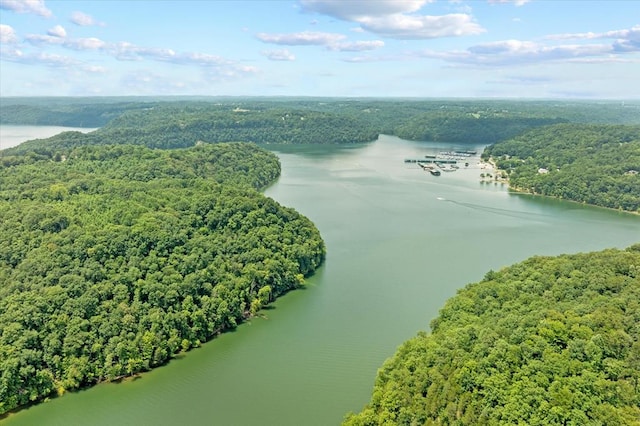 LOT65 Holly Bend Dr, Byrdstown, TN 38549 - photo 9