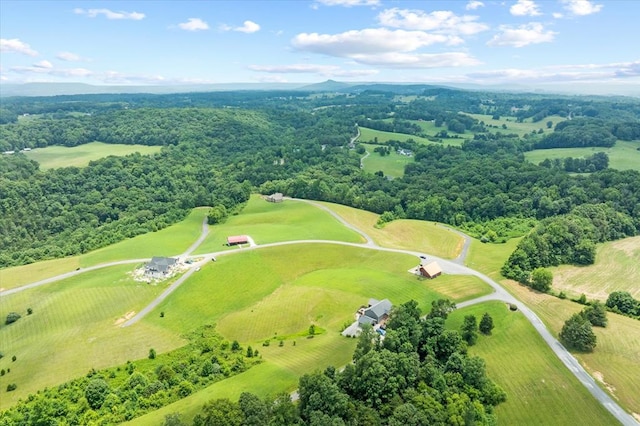 LOT65 Holly Bend Dr, Byrdstown, TN 38549 - photo 14
