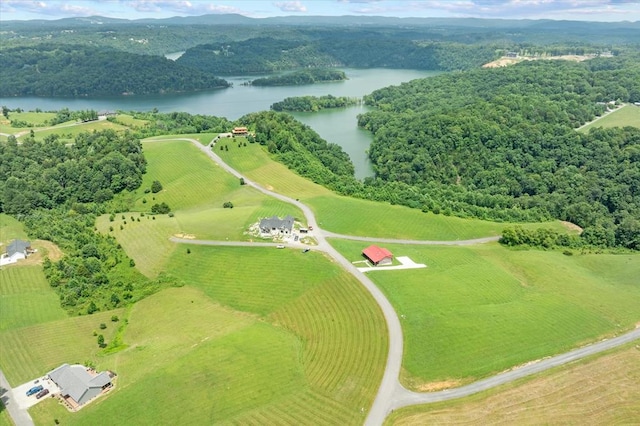 LOT65 Holly Bend Dr, Byrdstown, TN 38549 - photo 21