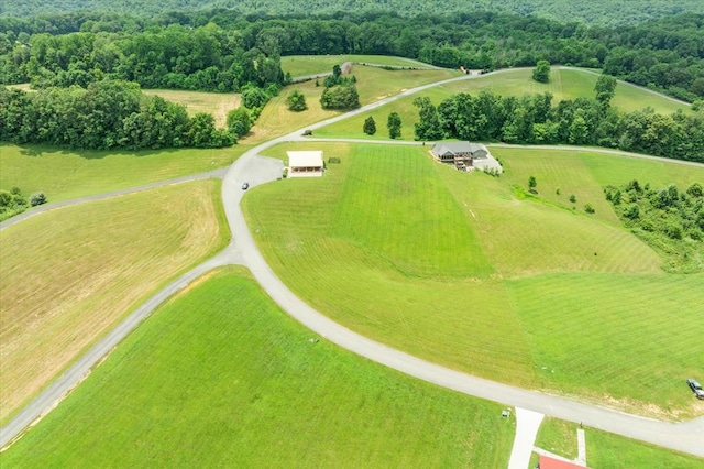 LOT65 Holly Bend Dr, Byrdstown, TN 38549 - photo 23
