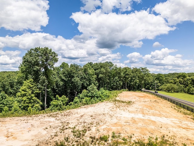 1.93AC Glenobey Rd, Jamestown, TN 38556 - photo 4