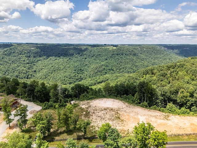 1.93AC Glenobey Rd, Jamestown, TN 38556 - photo 5