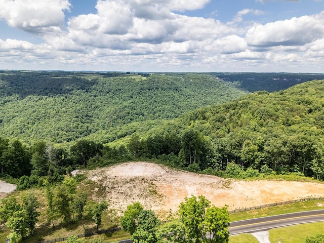 1.93AC Glenobey Rd, Jamestown, TN 38556 - photo 6
