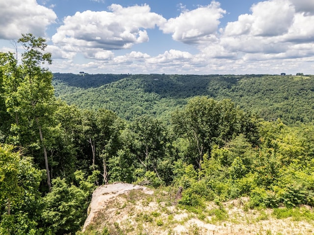 1.93AC Glenobey Rd, Jamestown, TN 38556 - photo 9